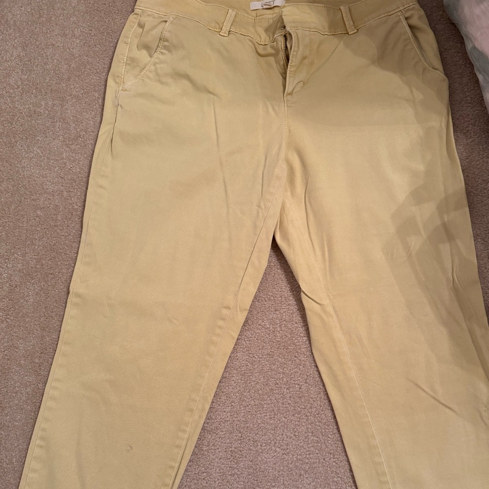 Loft chinos